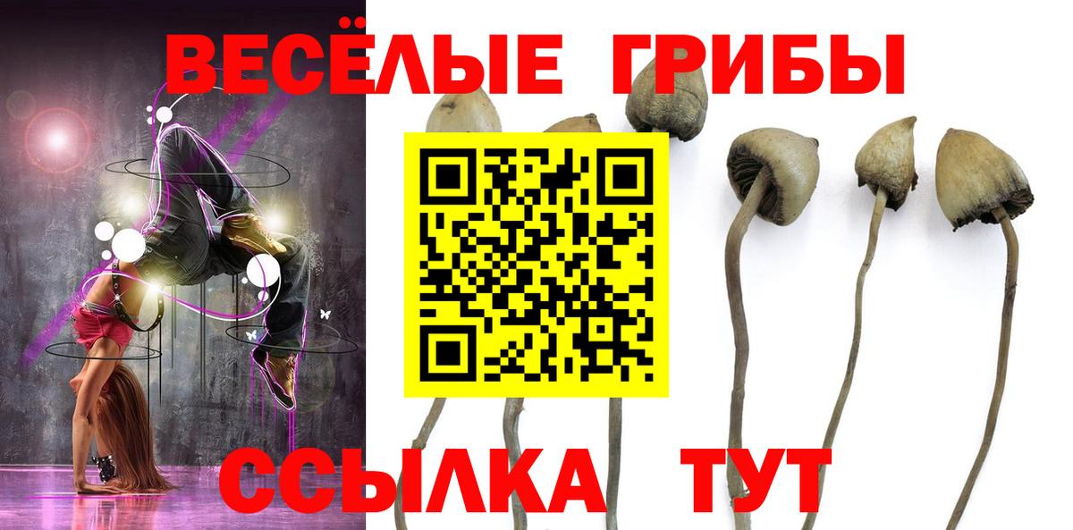 Галлюциногенные грибы мухоморы  Вход с VPN  Новодвинск  даркнет сайт  Псилоцибиновые грибы GOLDEN TEACHER 