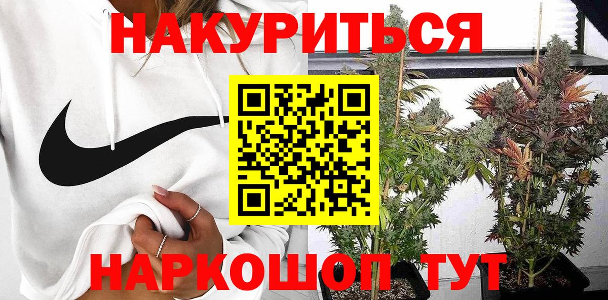 Бошки Шишки семена  Вход с VPN  Канабис семена  Новодвинск 